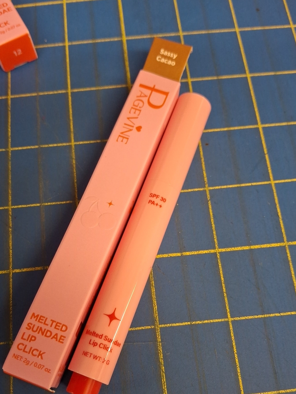 Page Vine Melted Sundae Lip Click 2g New - 06 Sassy Cacao